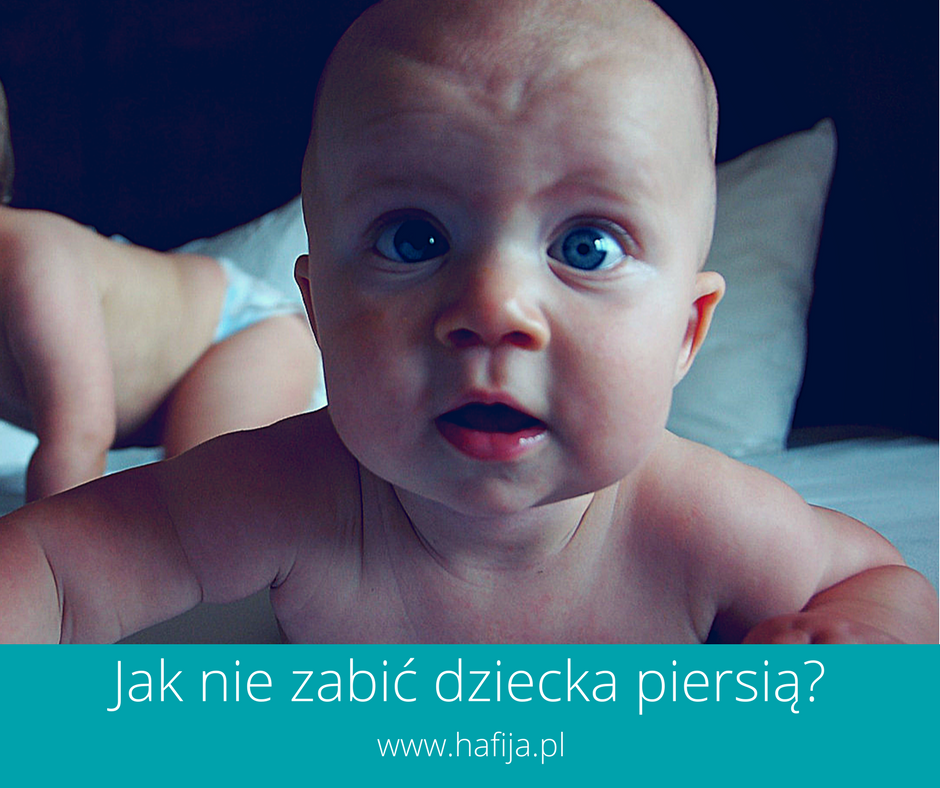 www.hafija.pl