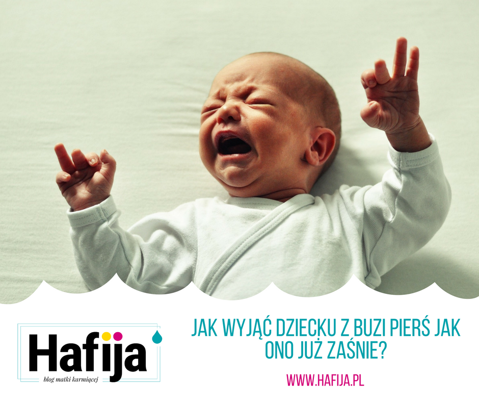 www.hafija.pl