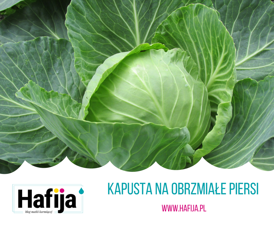 Kapusta na obrzmiałe piersi